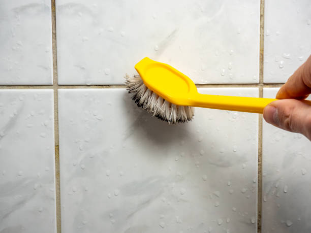 Best Mold Testing and Inspection Services in Clio, AL
