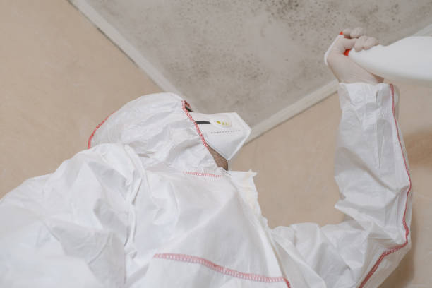 Best Kitchen Mold Remediation in Clio, AL